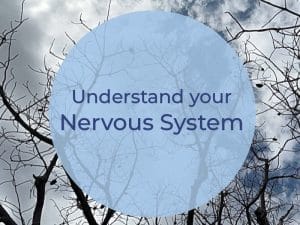 Understand your nervous system with image of tree branches