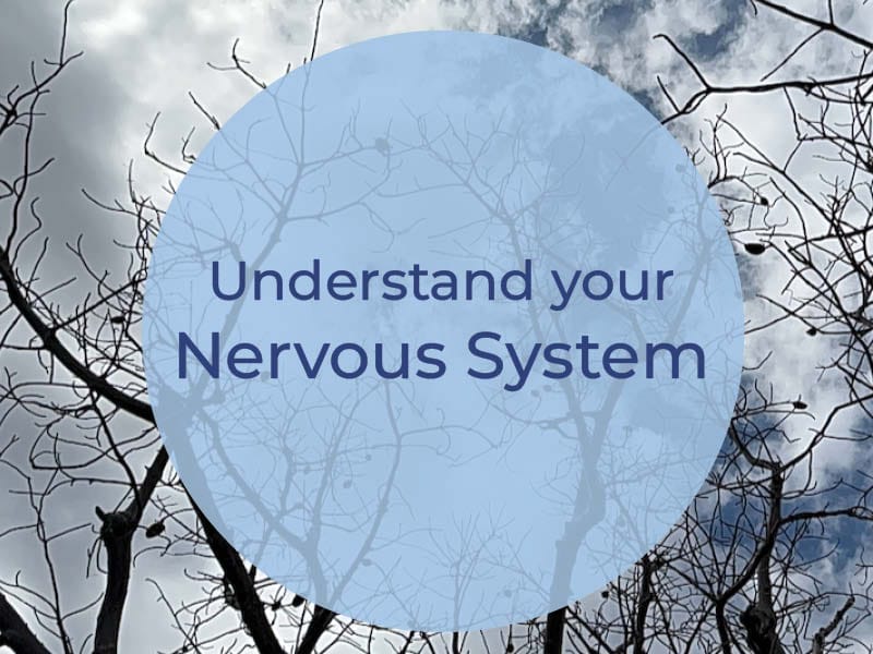 Understand your nervous system with image of tree branches