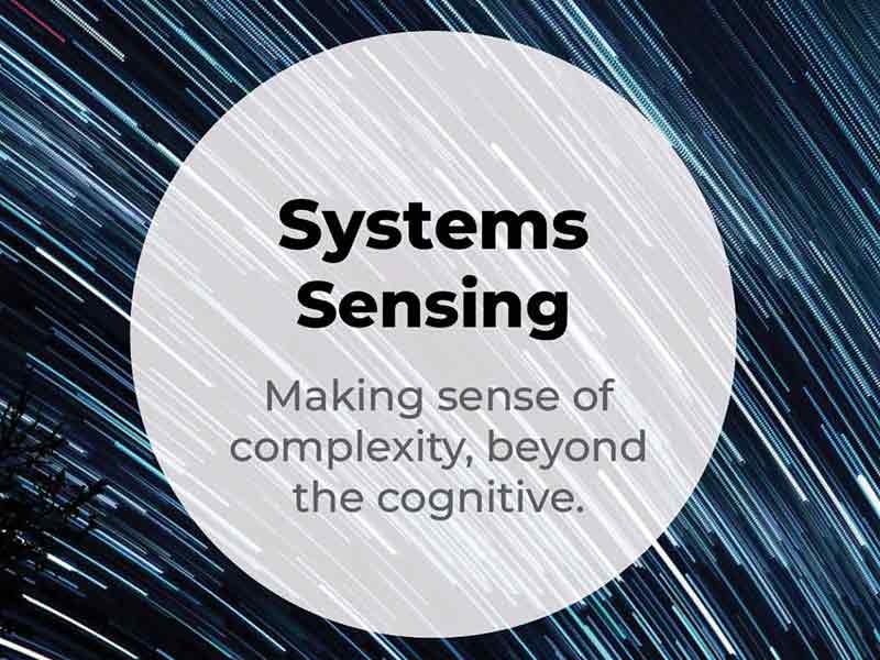 System Sensing Making sense of Complexity beyond the mind