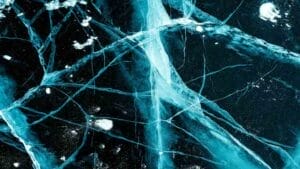 Closeup of Nervous System Synapses